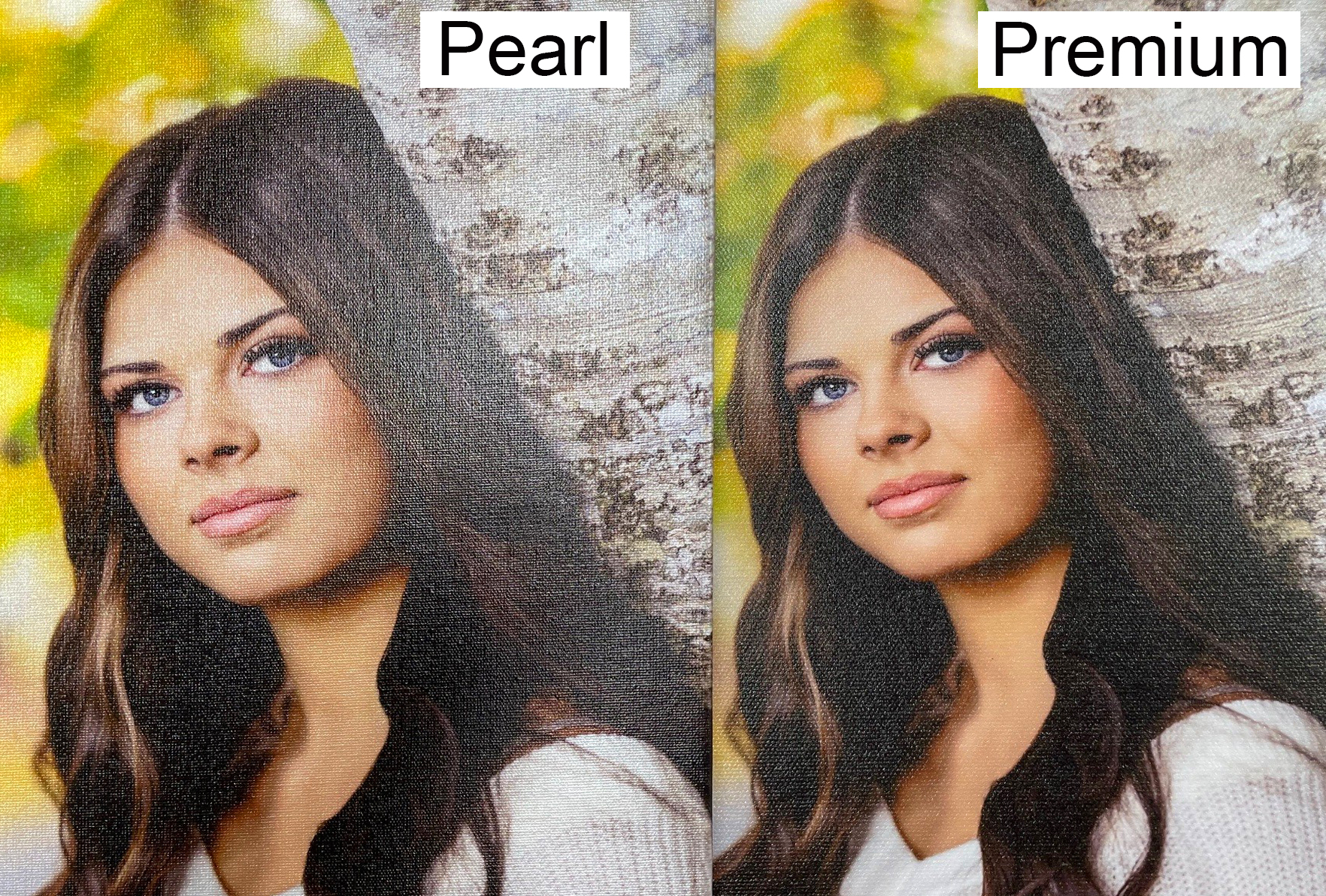 Pearl Canvas - Image 3